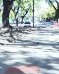 3981223-veredas-internas-parque-pavimentadas390-119×160