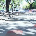 3981223-veredas-internas-parque-pavimentadas390-302×220