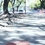 3981223-veredas-internas-parque-pavimentadas390-390×220