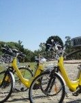 4152732-Bicis_electricas-119×160