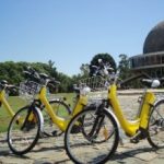 4152732-Bicis_electricas-302×220