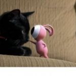 4254410-annecy-302×220