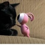 4254410-annecy-390×220