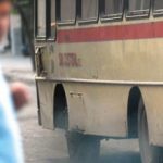 4271023-humocua-302×220