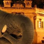 zoo-de-noche-448×220