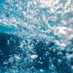 WhatsApp Image 2021-11-04 at 16.15.57